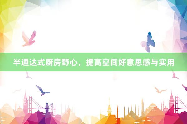 半通达式厨房野心，提高空间好意思感与实用